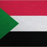 В Судане объявили о поддержке кожевенной отрасли