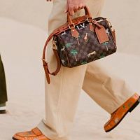 Speedy от Louis Vuitton лидирует среди люксовых сумок бестселлеров на вторичном рынке 
