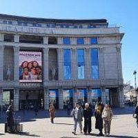  В ТЦ Петербурга с начала 2026 года вышло больше новых иностранных брендов, чем годом ранее