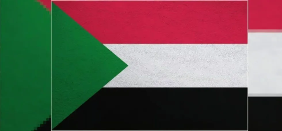 В Судане объявили о поддержке кожевенной отрасли